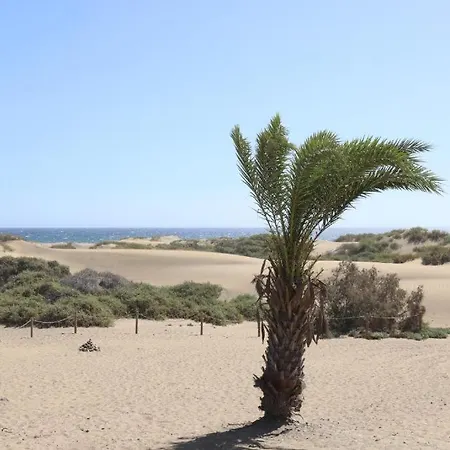 Dunas * Playa del Ingles (Gran Canaria)
